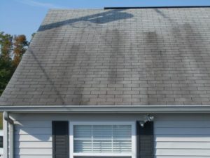 Black Streaks on Roof