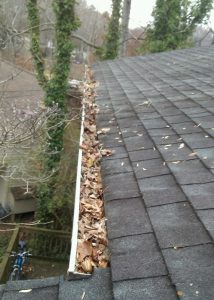 Gutter Cleaning