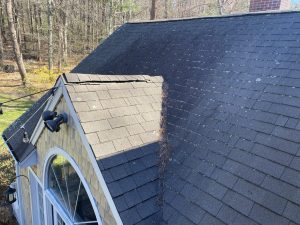 Roof Cleaning